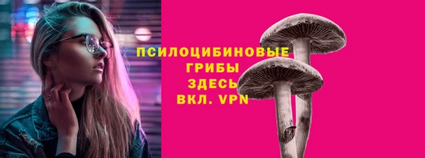 ALPHA PVP Бородино