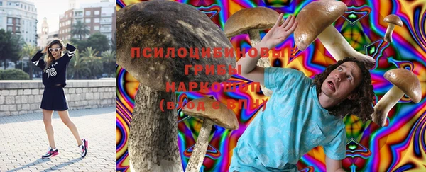 apvp Верхний Тагил