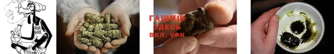 PSILOCYBIN Бугульма