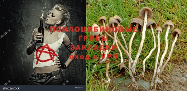 apvp Верхний Тагил