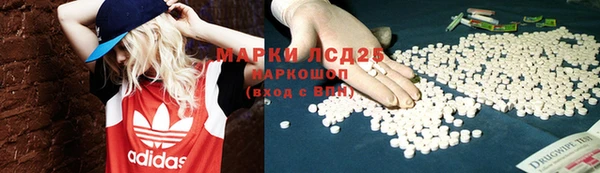 ГАЛЛЮЦИНОГЕННЫЕ ГРИБЫ Бронницы